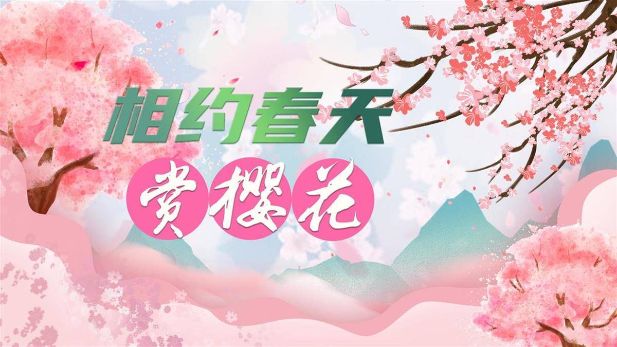 邂逅汉口江滩樱花季，品味人文与美景交融之美 “樱漫江滩”活动来袭，解锁春日新玩法