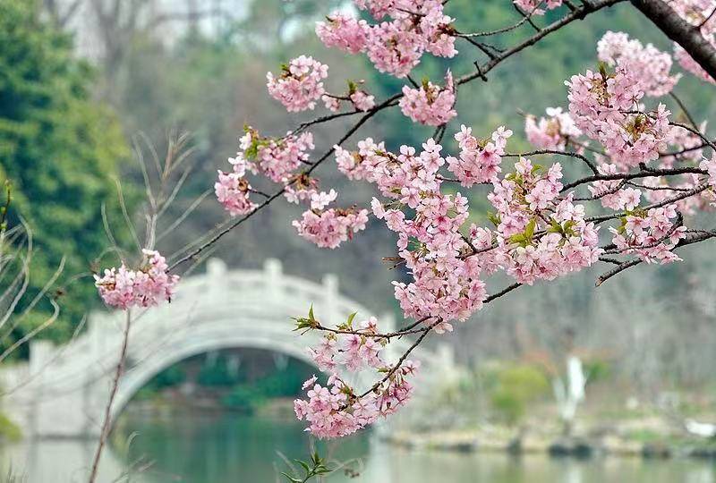 “一票3日制”：景区留客新巧思