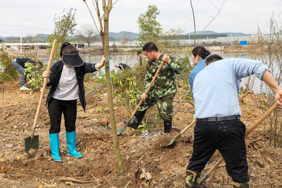 3月12日，南宁江南区江西镇水利建设与植树造林齐发力 南宁江南区：3·12奏响春耕与绿化的春日乐章