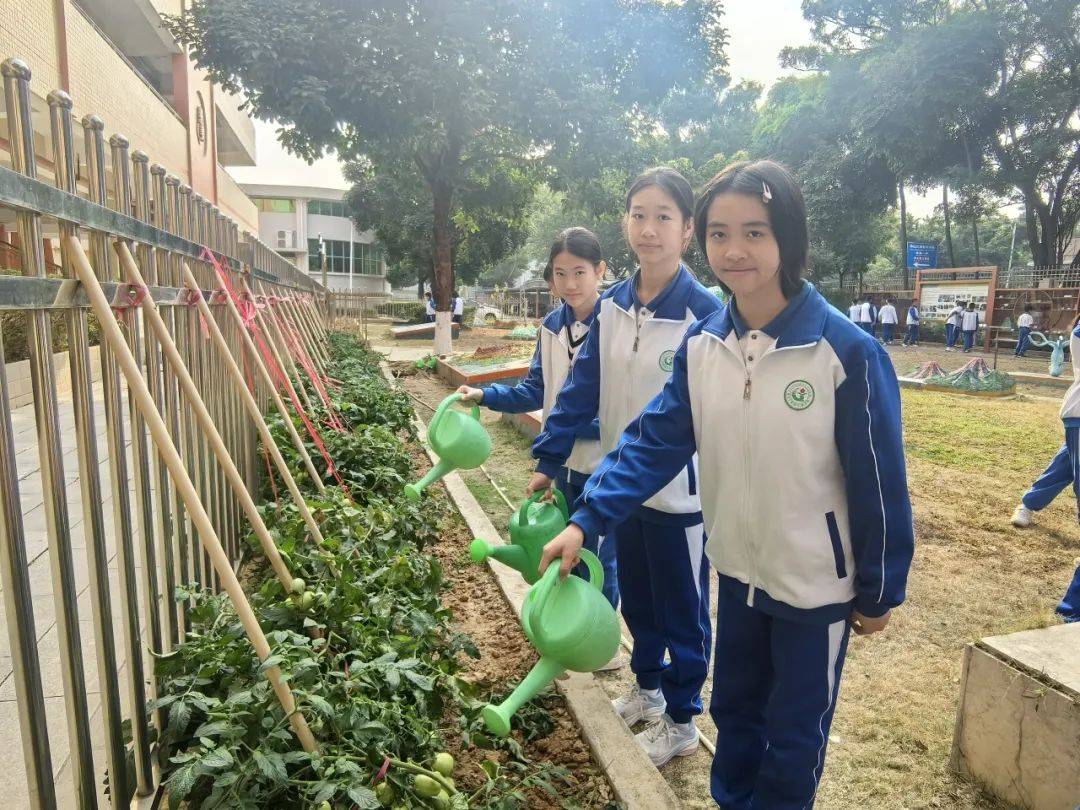 植树节里麻涌师生齐上阵，共筑绿美新家园，阳春植树正当时，麻涌师生为大地披绿装