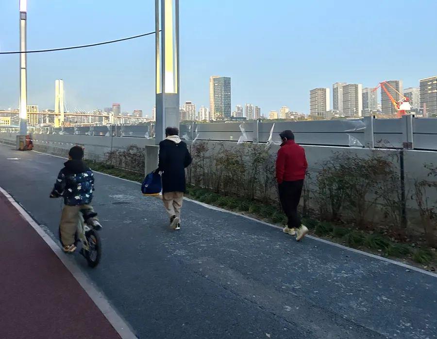 黄浦滨江防汛墙“增高”背后，市民担忧能否化解？，防汛墙突然“长高”，黄浦滨江观景体验遭质疑！