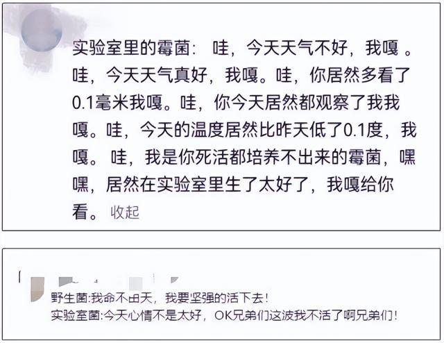 惊！发霉橘子竟成“天价商品”，背后真相大揭秘，从发霉橘子交易看科研与生活的奇妙关联