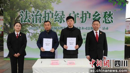 宜宾翠屏区：司法利剑守护古树名木的绿色传奇