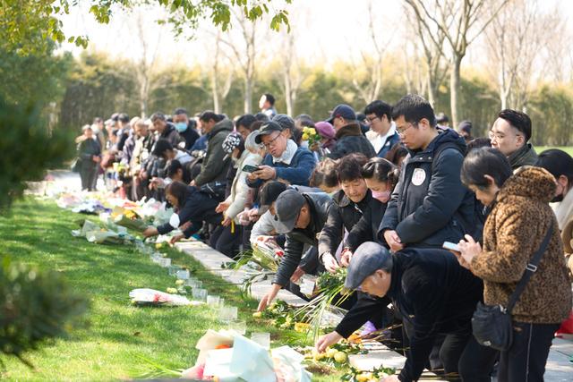 生态葬新风尚：53户家庭在沪开启数字纪念时代，AI融入殡葬，上海53户家庭集体生态葬有新体验