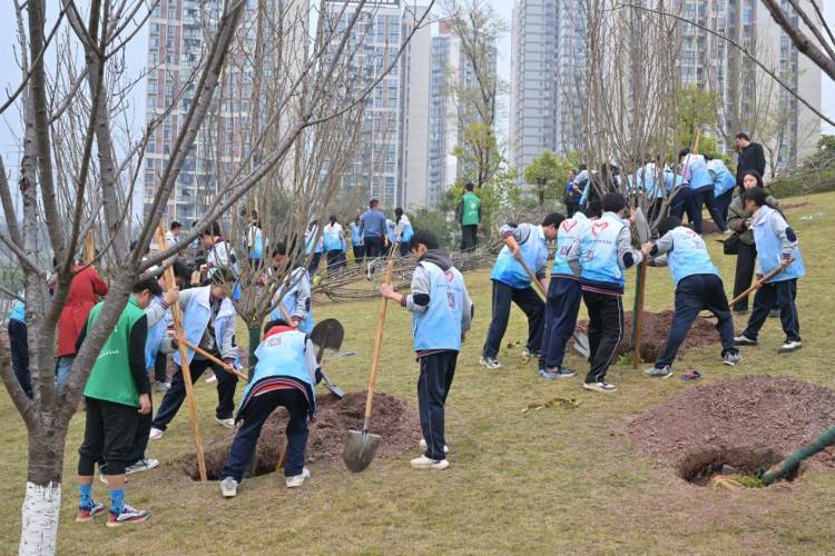 溉澜溪公园：学生重访“树老友”，再添新绿
