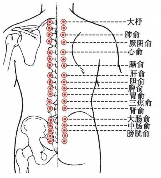 老年人脾胃虚弱？穴位按摩来帮忙，提升老年健康：穴位按摩与脾胃调理