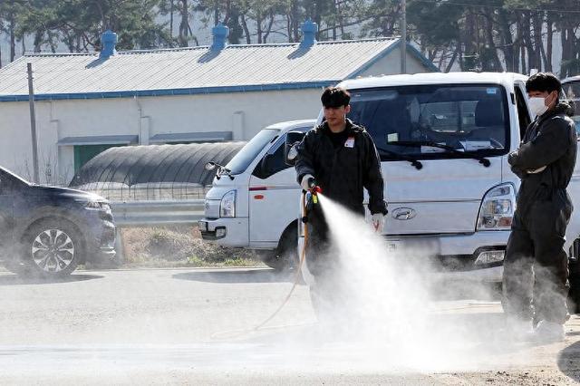 韩国代总统指示防控口蹄疫，全力遏制疫情！