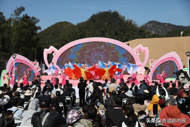 咸安樱花文化旅游活动：从赏花到兴业，描绘幸福新图景，咸安第三届樱花节：绽放生态之美，激活发展动能