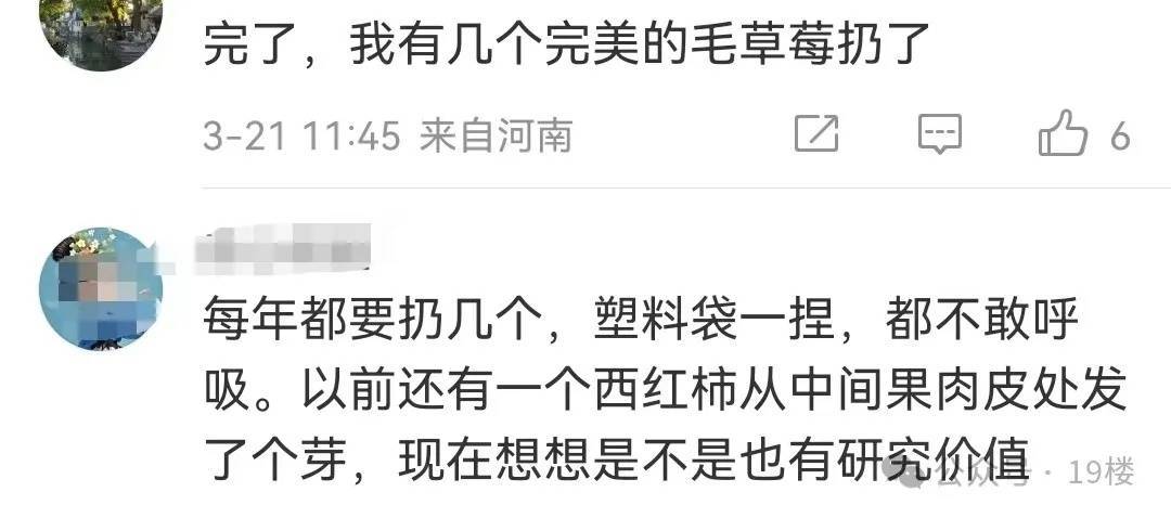 霉变橘子交易热，背后隐藏过敏风险要警惕！，“天价”霉变橘子冲上热搜，网友反应大不同！