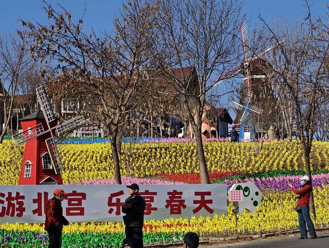 1. 春分时节，北京中华名枣园50万支风车打造梦幻乡村漫步之旅！ 2. 惊！丰台北宫镇中华名枣园用风车海洋开启春日狂欢！