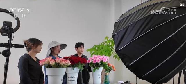 甘肃临夏鲜花港：科学种植让玫瑰全年不败，临夏“鲜花经济”：带动数千人就业，年产值近两亿