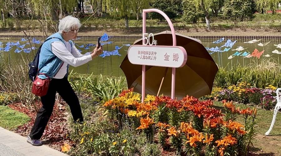 上海四季花港：一站式花展体验，畅享春日美好时光