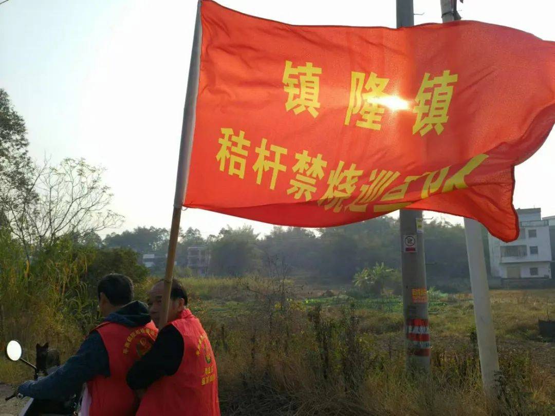 聚焦大气污染防治，镇隆镇人大在行动