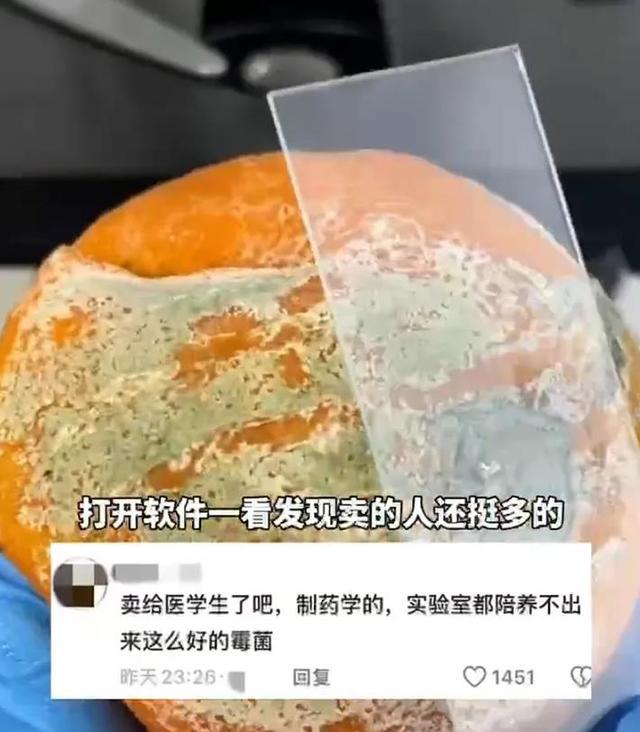 惊！发霉橘子竟成“天价商品”，背后真相大揭秘，从发霉橘子交易看科研与生活的奇妙关联
