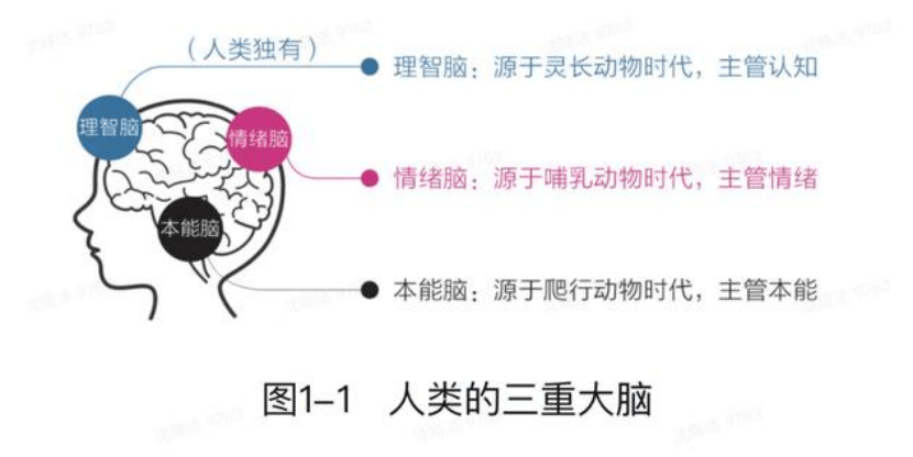 2:22：午夜惊魂背后的人性博弈，2:22话剧：当理性与灵异碰撞，真相何去何从
