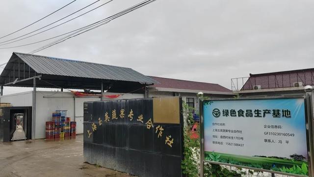 玉英合作社“鲜蔬惠邻”，港西镇居民买菜更轻松，港西镇“鲜蔬惠邻”活动：让居民尽享新鲜实惠