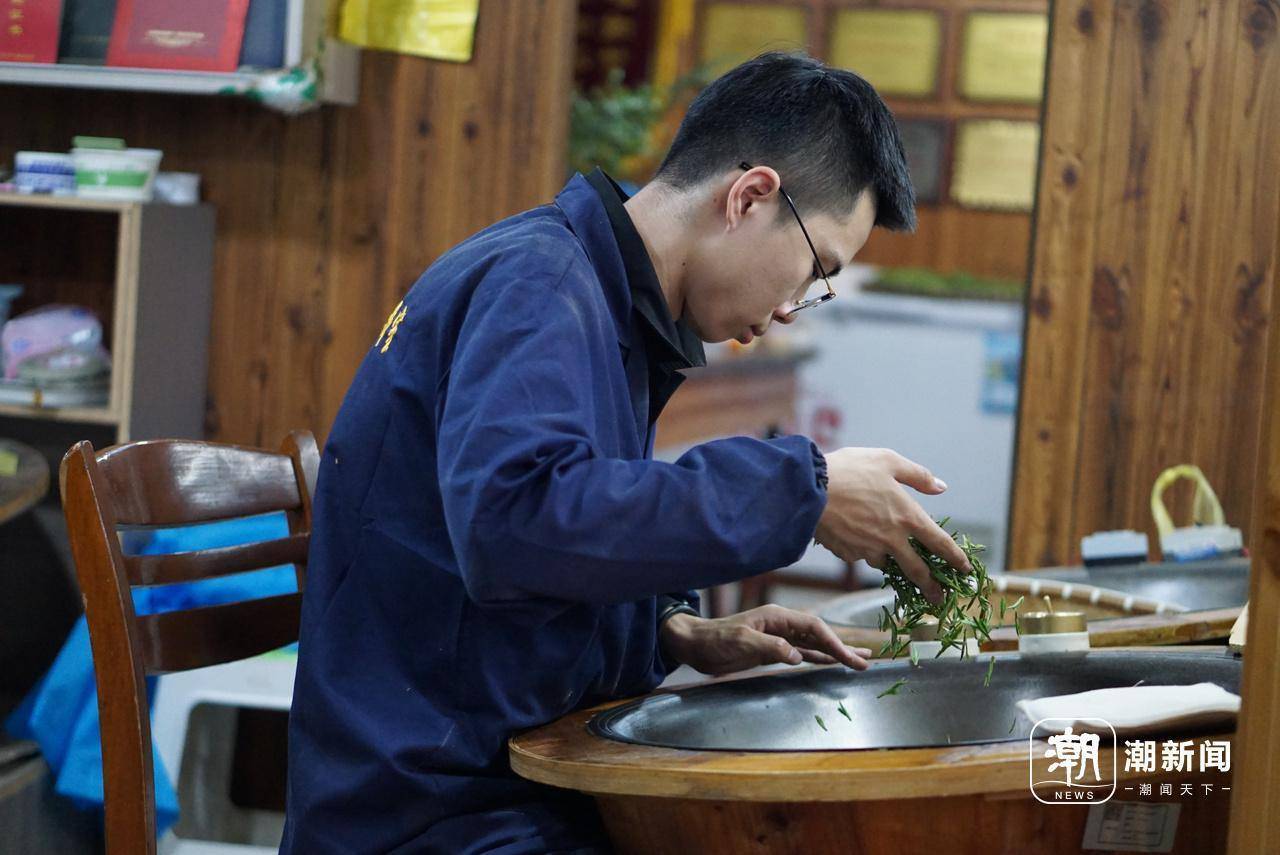 00 后“炒茶小将”：坚守传统技艺，续写龙井新篇，探秘 00 后炒茶达人：8 年匠心铸就龙井传奇