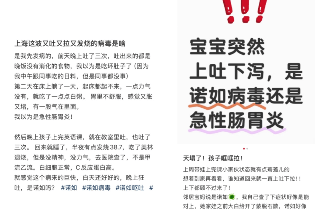 草莓季，专家为你破解“草莓瘟”谣言并教你防诺如 春日草莓盛宴：真相与诺如病毒预防全揭秘
