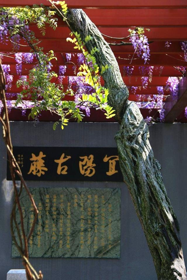 曲水园图揭开明代闵行文人董宜阳的隐居生活
