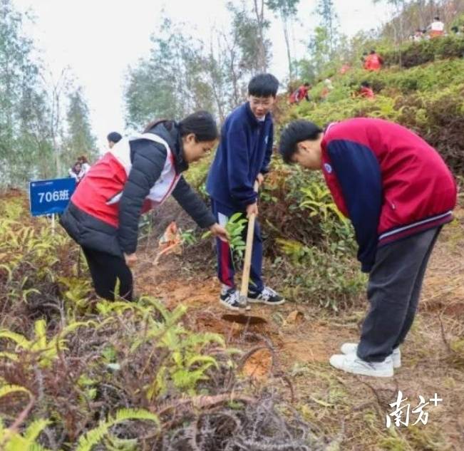 信宜教育系统发力，“亲子林”为绿美城市注入青春活力