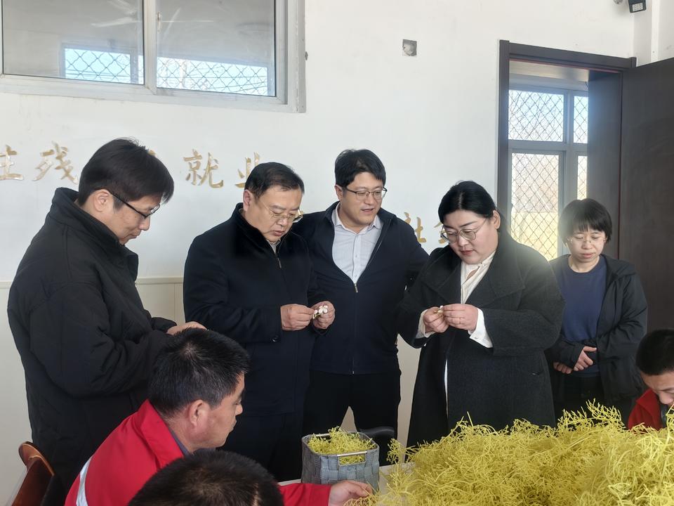 滨州、日照考察团齐聚阳信劳店镇，共探残疾人工作新路径 阳信劳店镇迎来两地考察团，残疾人工作亮点受关注