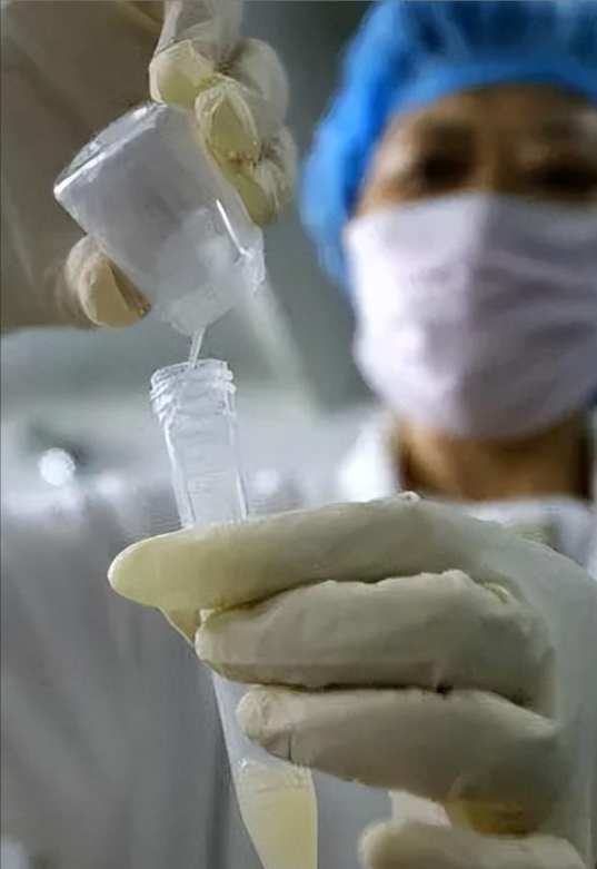 地下捐精乱象丛生，求子家庭该何去何从？