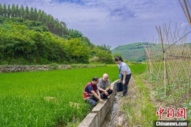 聚焦乡村“小微工程”，柳州纪检监察筑牢民生保障防线 柳州纪检监察紧盯乡村“小微工程”，护航民生福祉