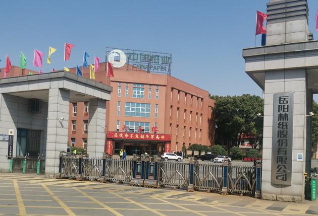 岳阳林纸业绩说明会透露发展新动向，碳市场机遇待挖掘 从业绩说明会看岳阳林纸：“林浆纸”战略深化，碳市场迎新挑战