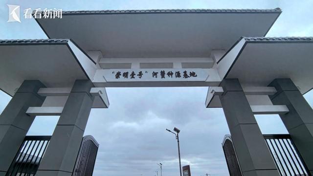 探秘“崇明1号”河蟹：从蟹苗到成蟹的成长之旅