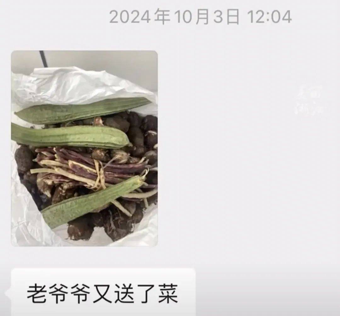善意回响：女孩资助老人收获温暖回报，爱心传递！女孩帮老人开启暖心故事