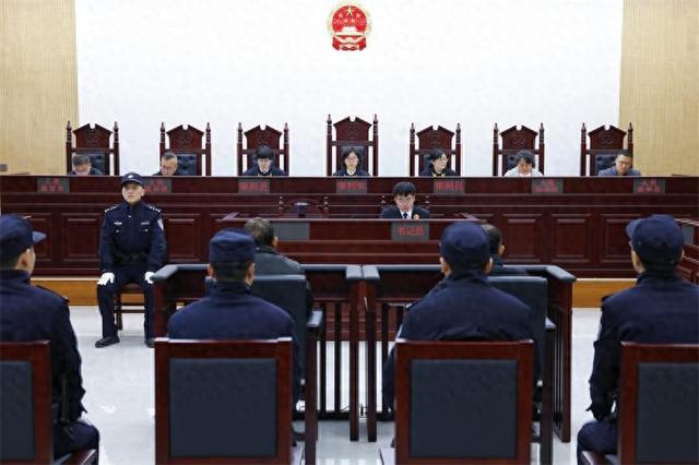 从非法捕捞到劳务代偿，千岛湖司法创新守护生态之美