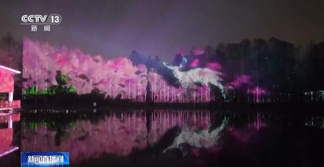 春日赏花季，“花经济”助力乡村与城市共繁荣