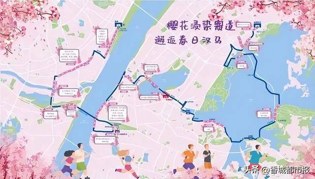 樱花季里的武汉马拉松：跑在最美赛道，感受城市温度