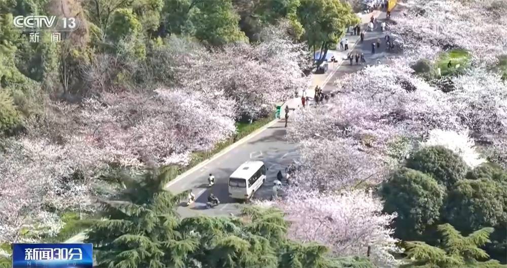 春日繁花盛，“赏花游”激活春日经济热潮 缤纷春花绽放，“赏花游”助力春日经济升温