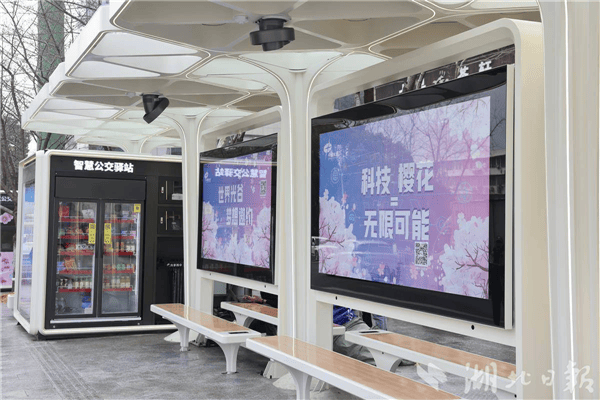 樱花为媒，武汉“春日请柬”——大黄村公交站的浪漫邀约