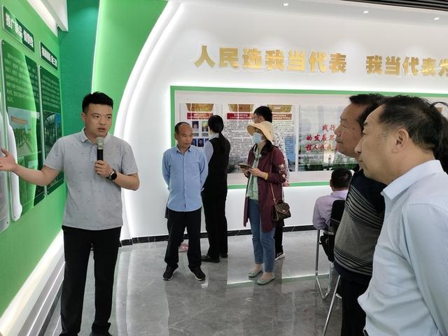 邳州合作社：农业现代化的践行者，贾强与他的机插秧合作社：助力粮食保障