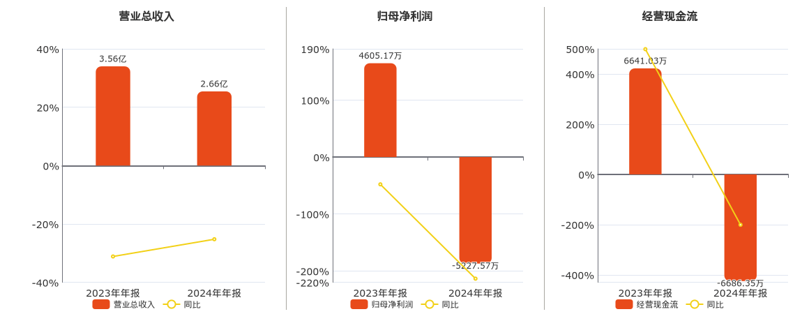 透视高凌信息2024年年报：业绩下滑背后的隐忧，高凌信息2024年年报出炉，业绩多项指标下滑