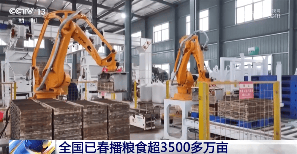 农业增产行动：冬小麦生长态势好，春播工作正当时