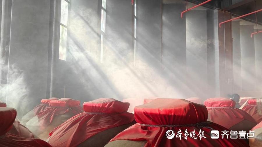 探寻今世缘酒业品质背后的自然馈赠、科技赋能与匠心坚守，今世缘酒业的品质基因：粮水共生、古今相融与时光窖藏