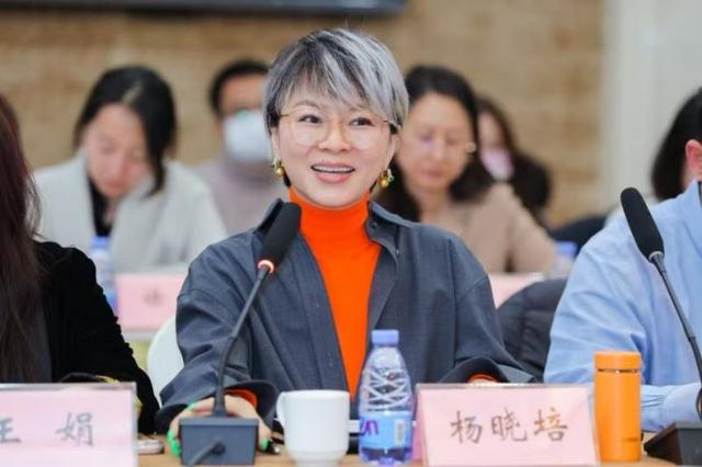 〈六姊妹〉收官，背后蕴含的社会意义与创作价值，〈六姊妹〉收官：一部充满质感的平民史诗