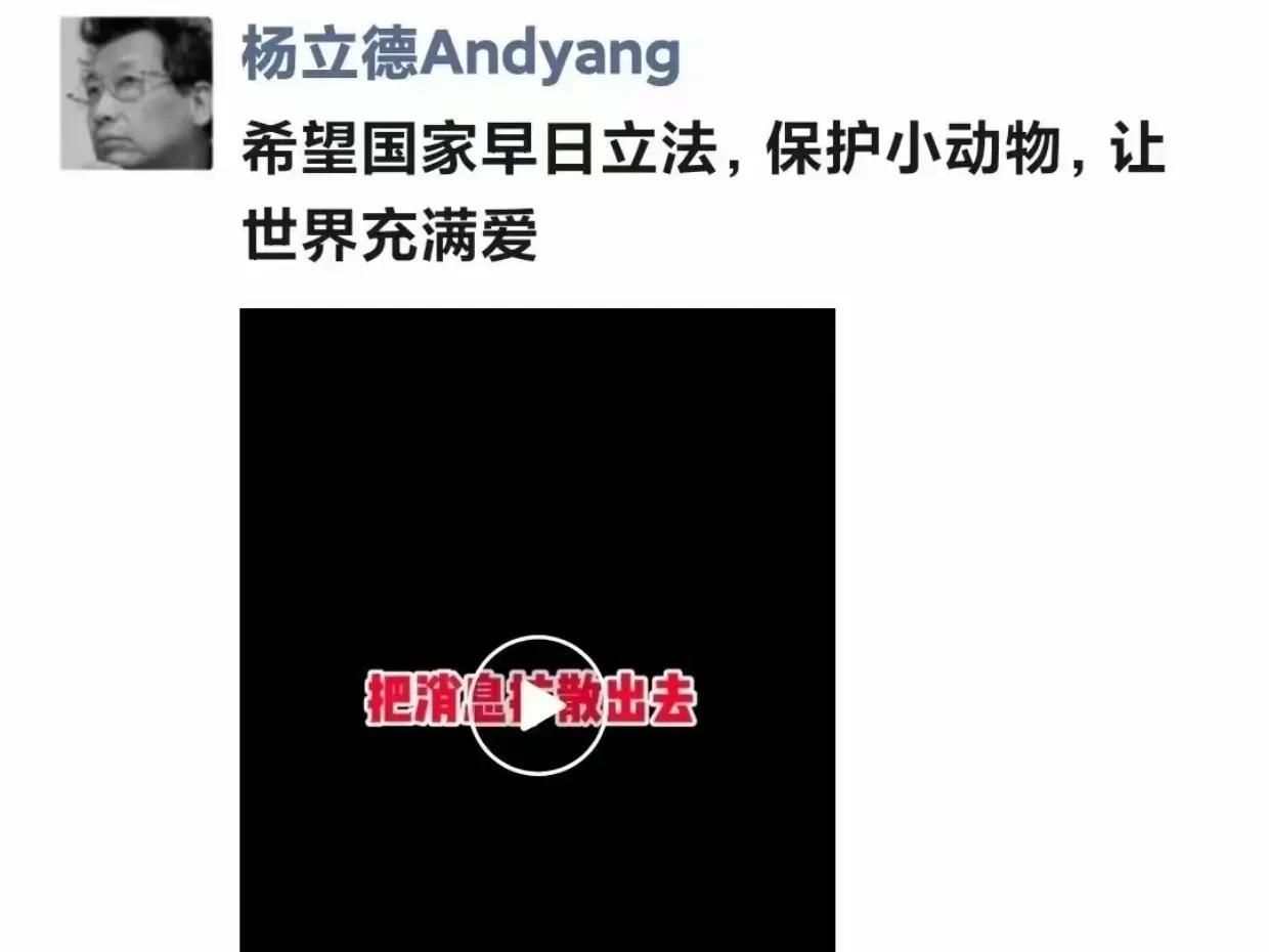 惊！杨立德毫无预兆去世，生前呼吁保护小动物立法