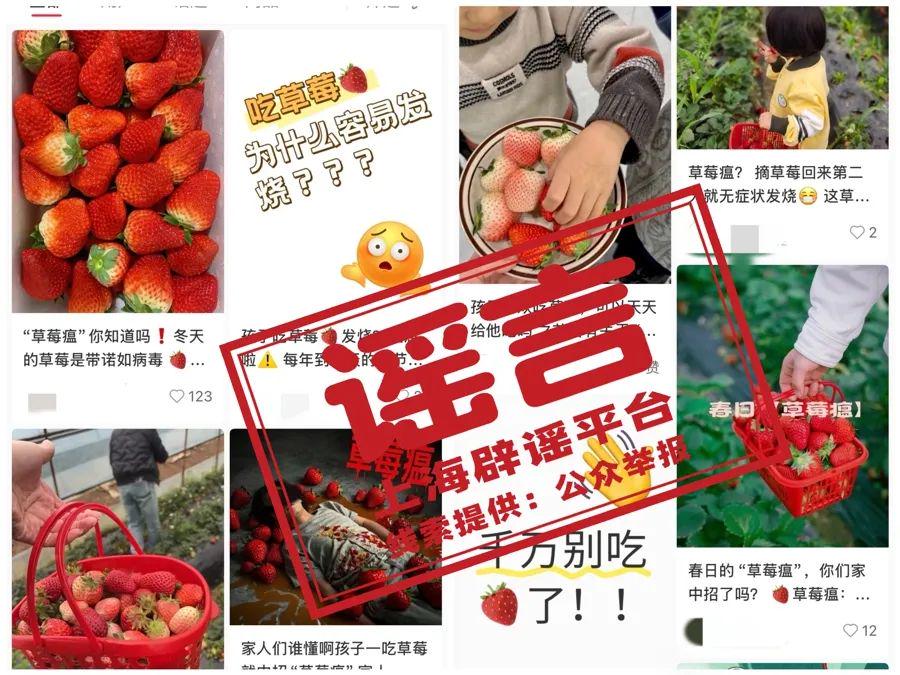 吃草莓生病是咋回事？专家为你解开谜团