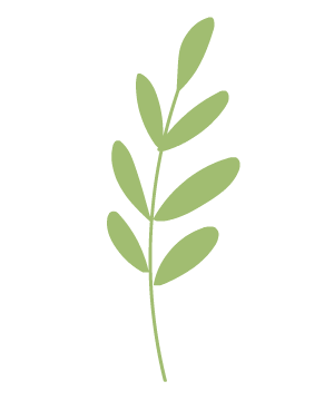 “紫荆幸福课堂”公益讲座，助力家庭文明新风尚 “紫荆幸福课堂”开讲，邂逅职场与生活的优雅之美