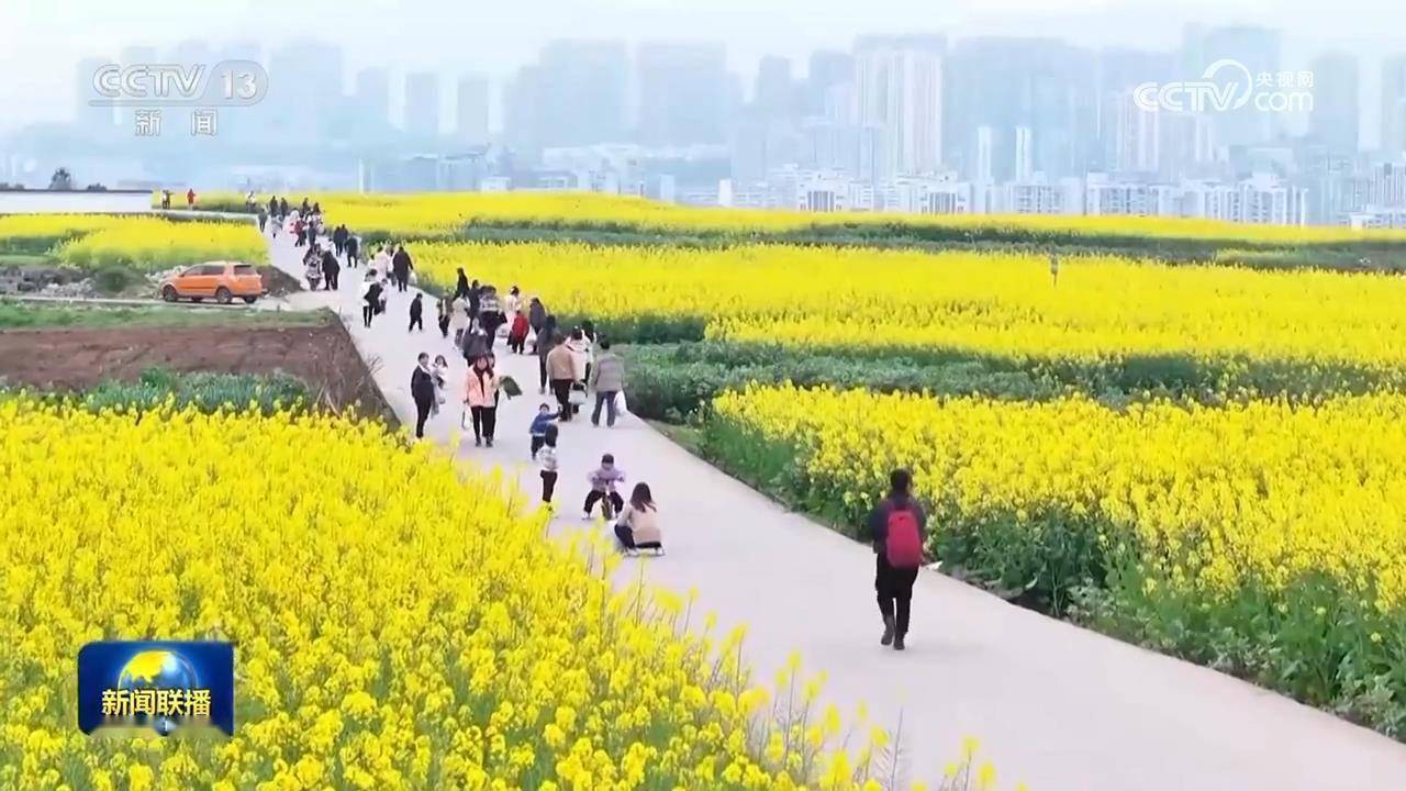 春日赏花图鉴：领略多地花之魅力与发展活力，花开大地，各地赏花经济助力文旅与乡村振兴