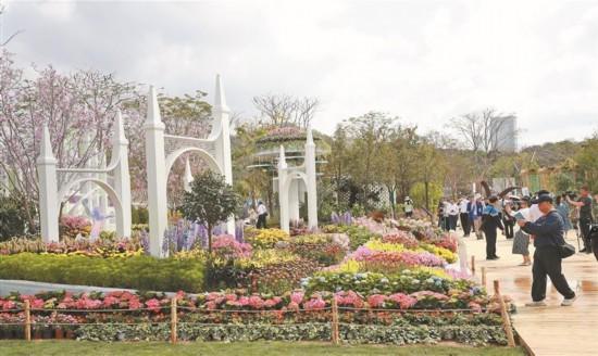 2025大湾区花园大赛来袭，福田南山共赴花卉盛宴，“百年之约”花园大赛启幕，深圳绽放园艺魅力
