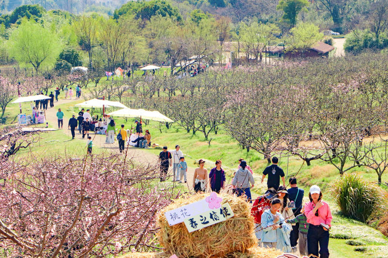 春日邂逅国潮，文旅盛宴拉开帷幕