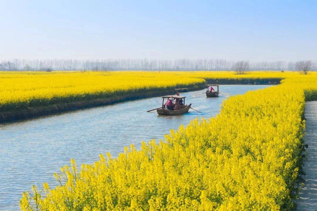 走进泰州，在花海与风情酒店中畅享假日