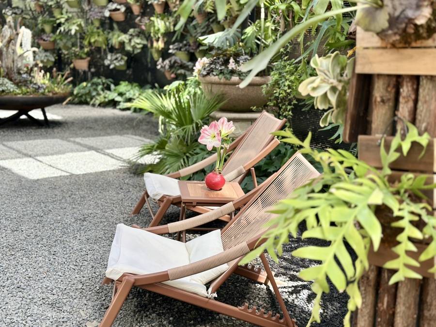 上海四季花港：一站式花展体验，畅享春日美好时光