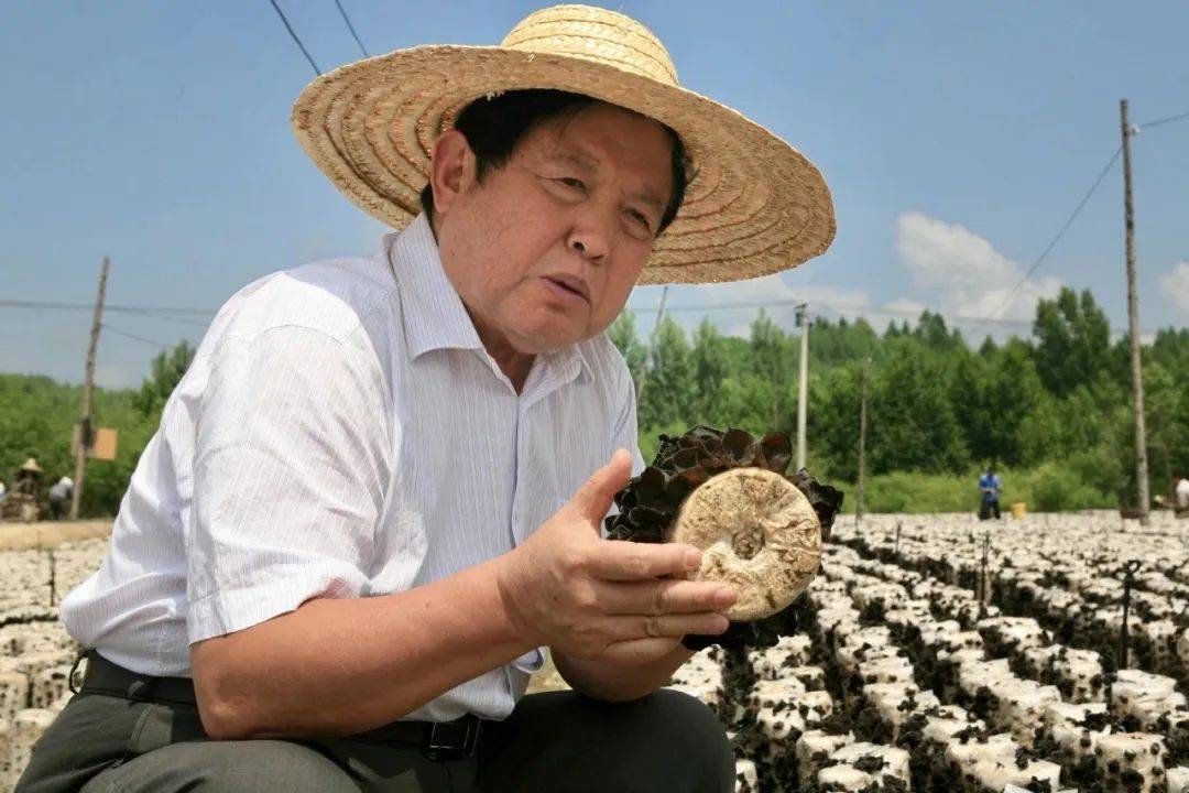 吉林：开放口岸与前沿科技共绘发展蓝图