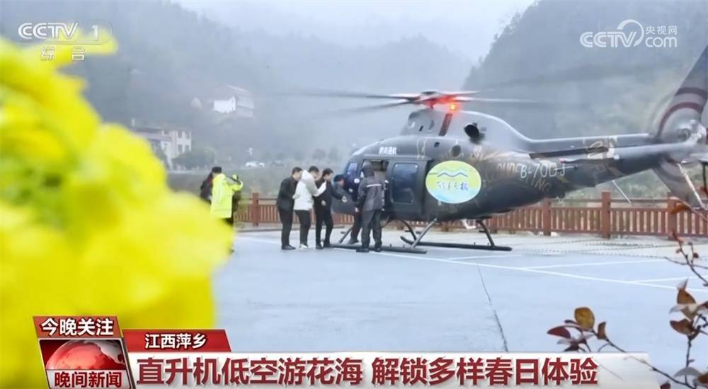 广州医院连续三年植树缅怀，见证生命新生奇迹，春天中国多地植树添绿，守护生态家园